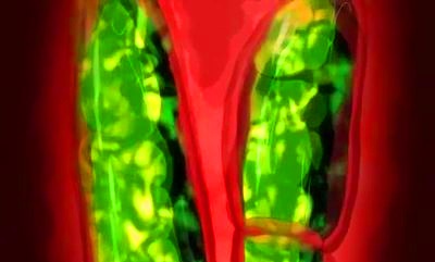 Thumbnail of post image 052